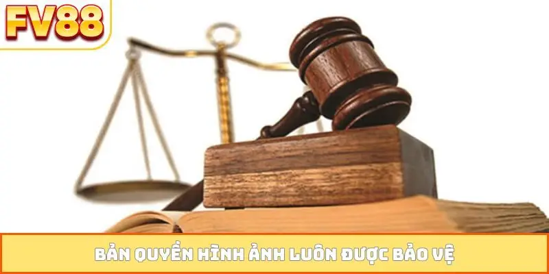 Bản quyền hình ảnh luôn được bảo vệ